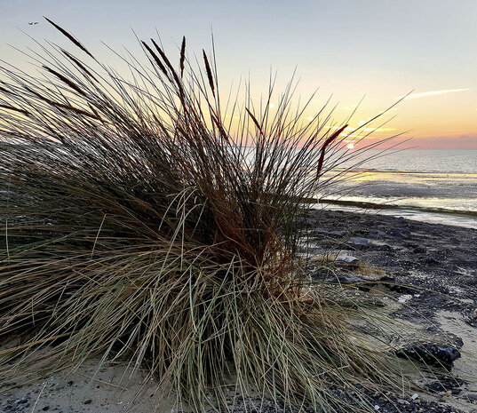 Kookplaatbeschermer type: KB270 Brouwersdam