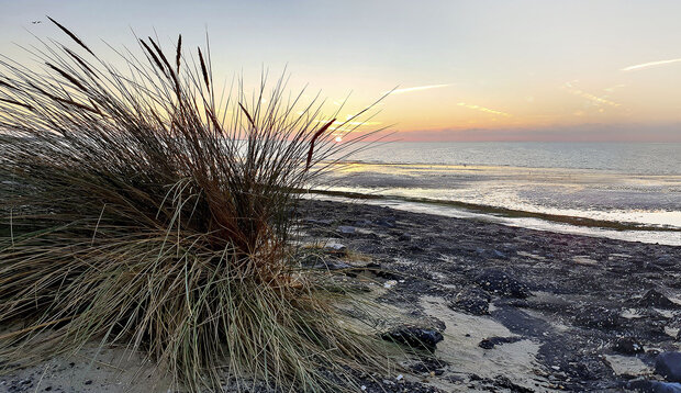 Kookplaatbeschermer type: KB270 Brouwersdam