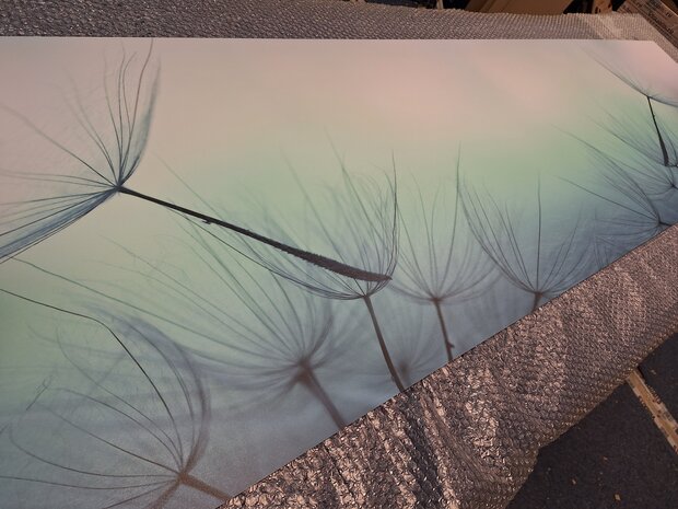 Premium-mat uitvoering P393 Dandelion