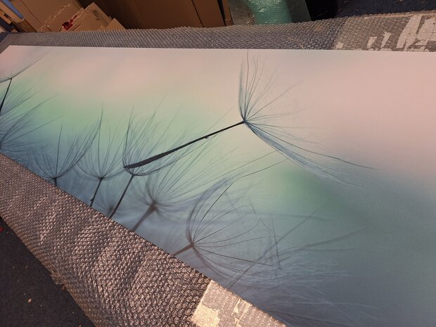 Premium-mat uitvoering P393 Dandelion