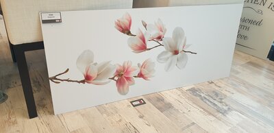 P104 magnolia