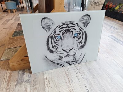 OUTLET Premium-glas  P650 Blue Eyed Tiger