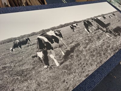 afm ca. 175 x 65cm