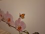 Outlet - P186 roze orchidee met vlinders