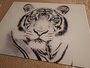 OUTLET Premium-glas  P650 Blue Eyed Tiger