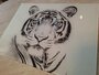 OUTLET Premium-glas  P650 Blue Eyed Tiger